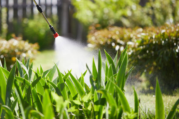 24/7 Emergency Termite Control experts in Darrington, WA